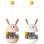 Conejo de entrenamiento para gato