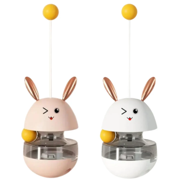 Conejo de entrenamiento para gato